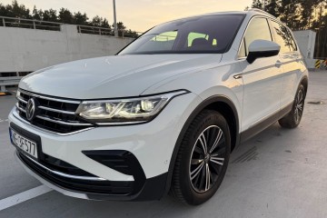 salon PL / FV VAT 23% / Matrix / Elegance /